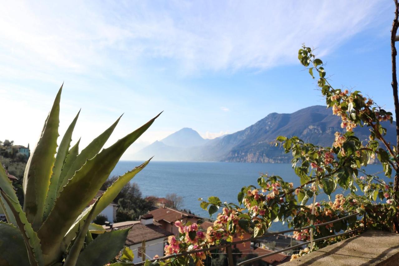 Le Due Terrazze Villa Brenzone sul Garda Bagian luar foto