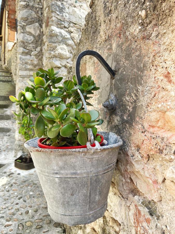 Le Due Terrazze Villa Brenzone sul Garda Bagian luar foto