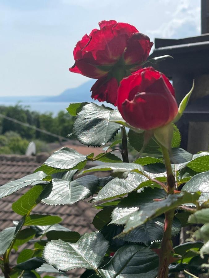 Le Due Terrazze Villa Brenzone sul Garda Bagian luar foto