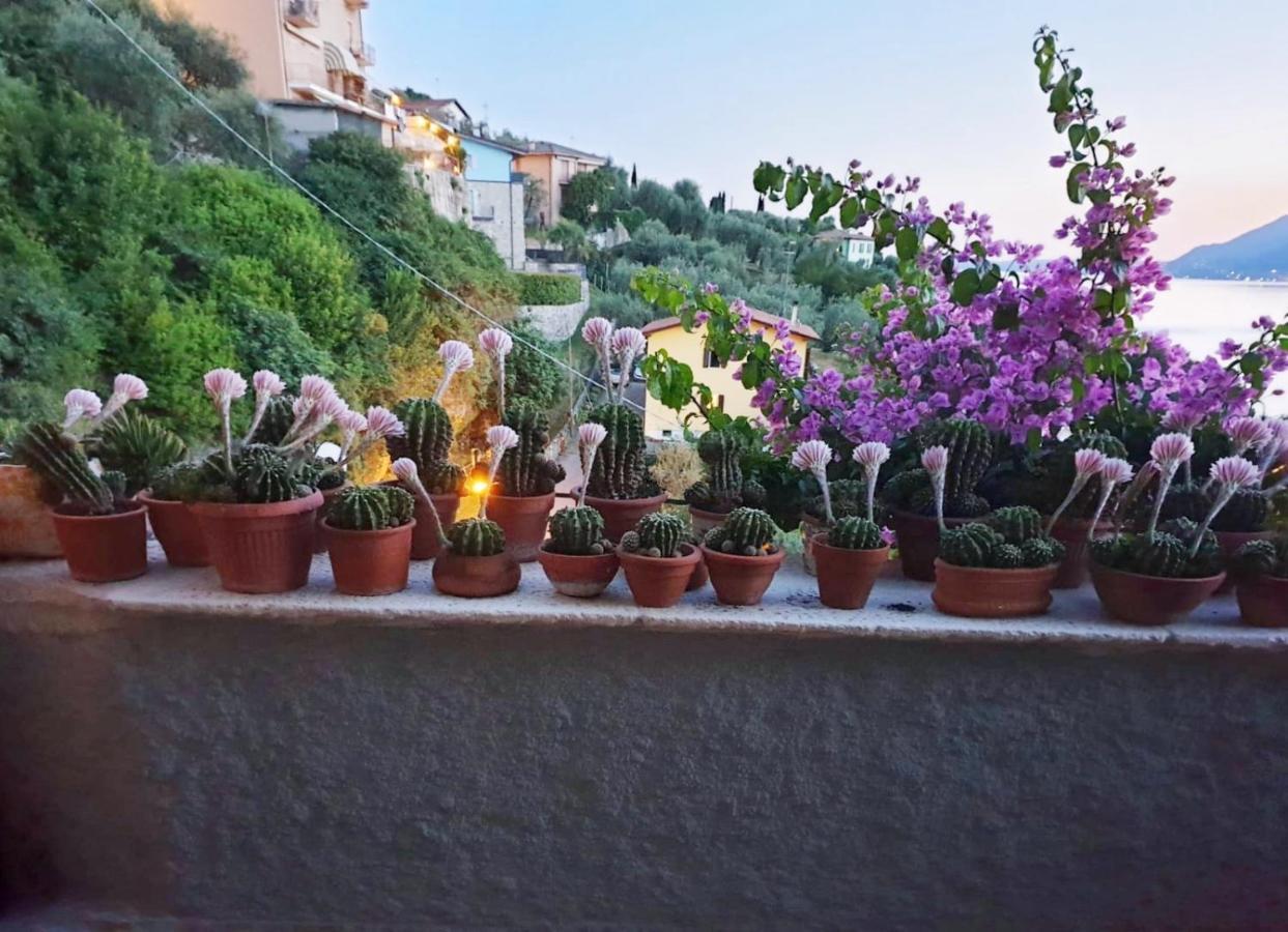 Le Due Terrazze Villa Brenzone sul Garda Bagian luar foto