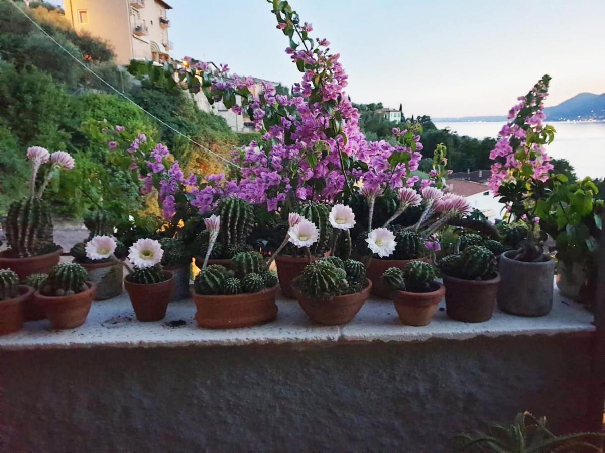 Le Due Terrazze Villa Brenzone sul Garda Bagian luar foto